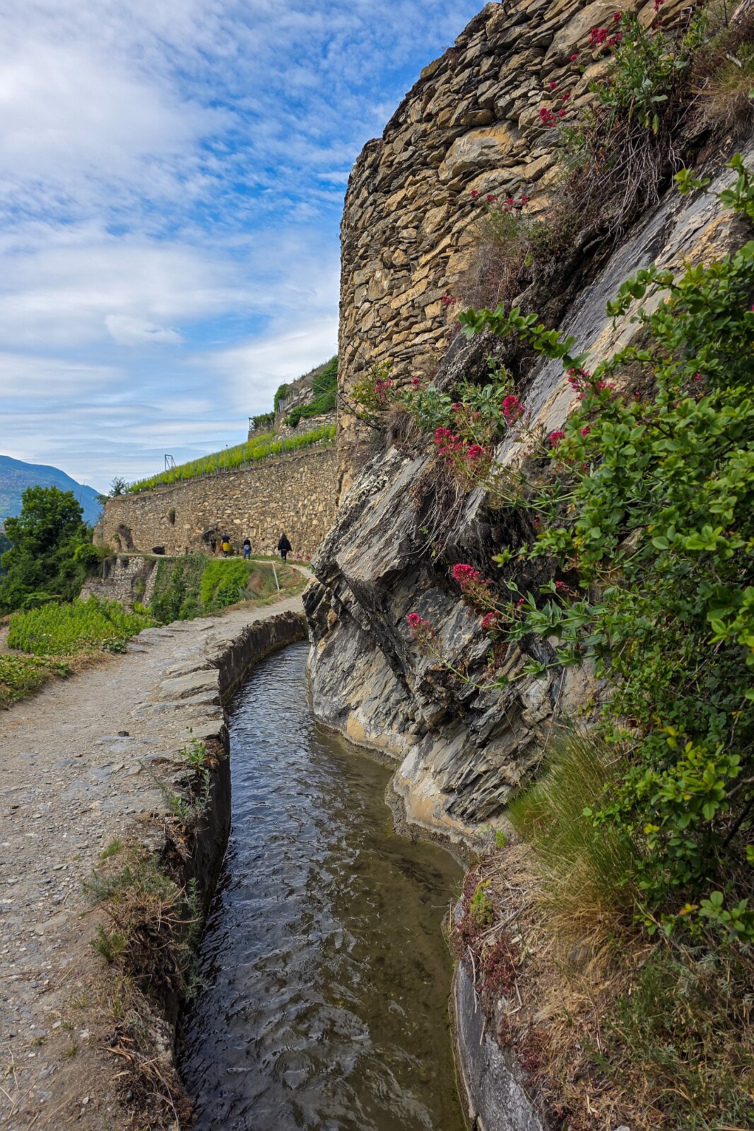 VSI.ASAI - Generalversammlung Mai 2025 