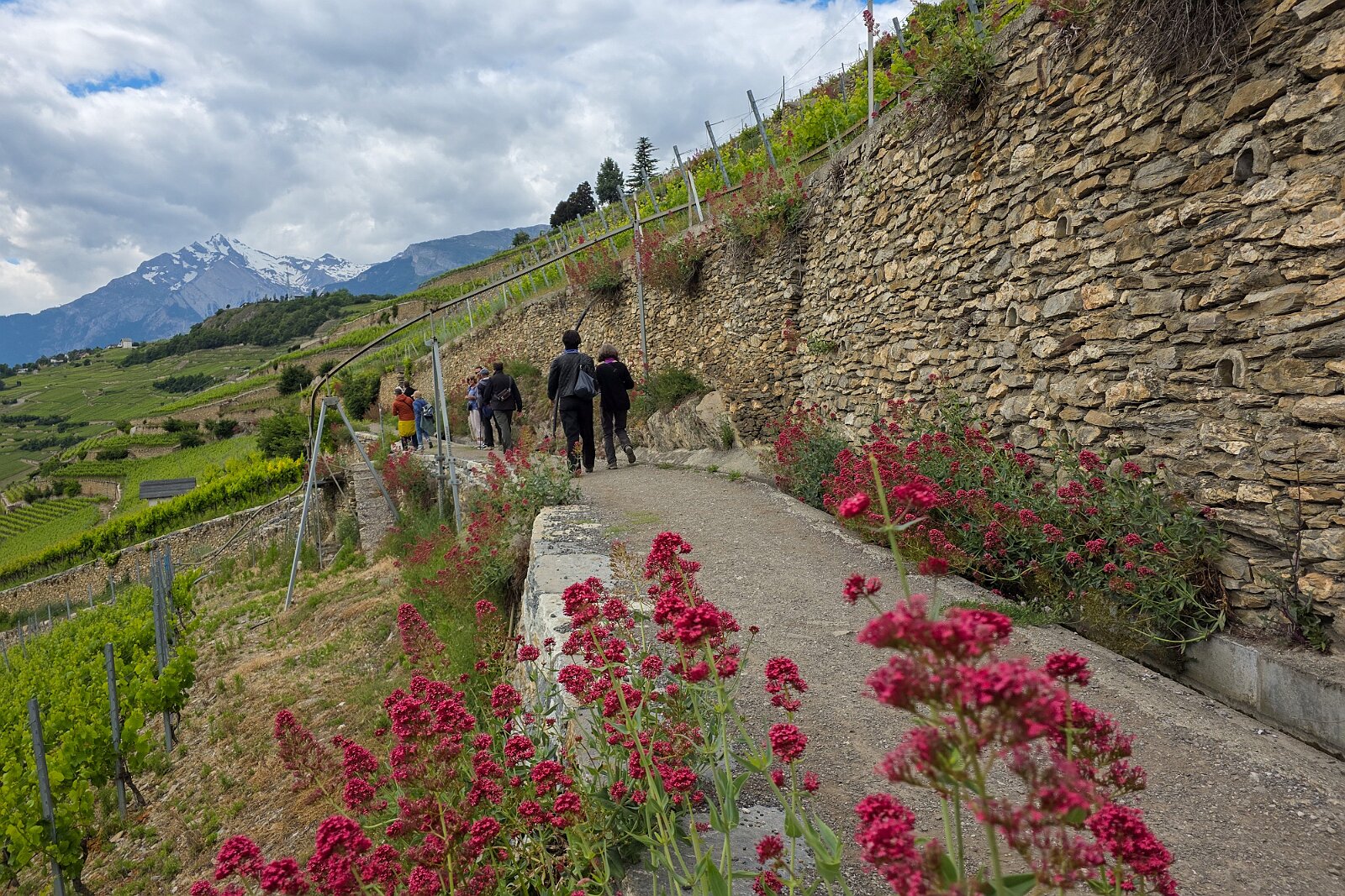 VSI.ASAI - Generalversammlung Mai 2025 