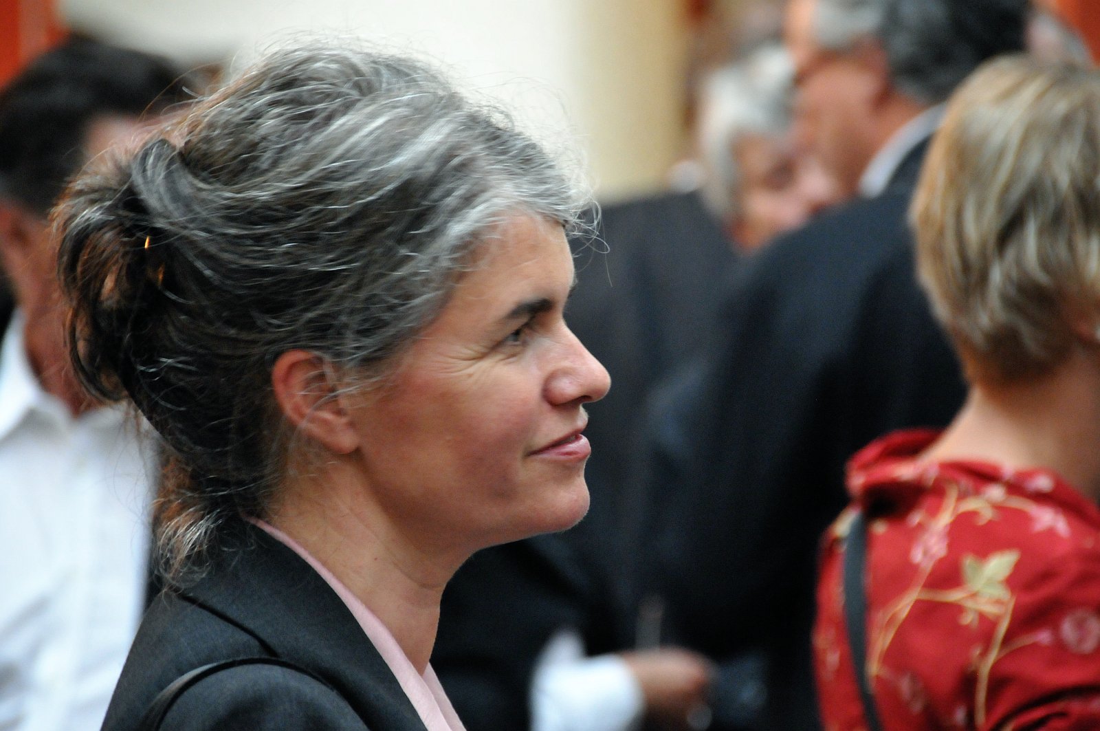 VSI.ASAI. Rahmenprogramm 19. Juni 2009 Gemeinsames Nachtessen im Restaurant eoipso in Basel