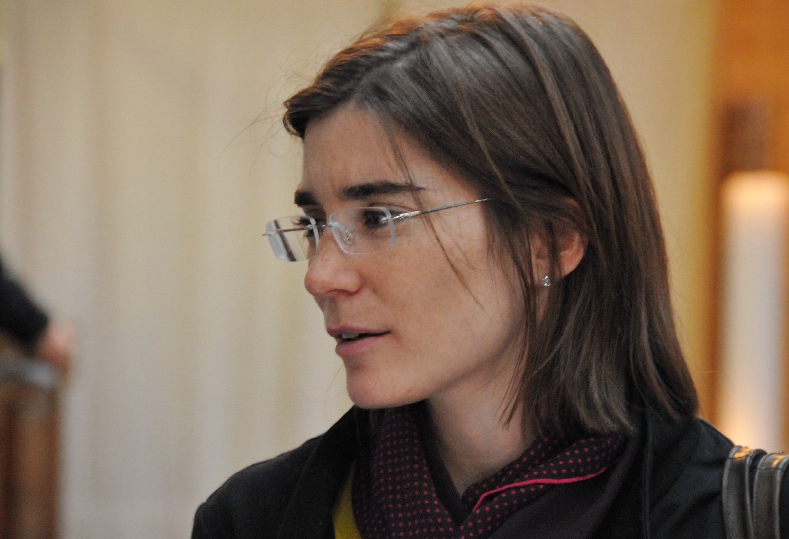 VSI.ASAI. Rahmenprogramm 19. Juni 2009 Gemeinsames Nachtessen im Restaurant eoipso in Basel