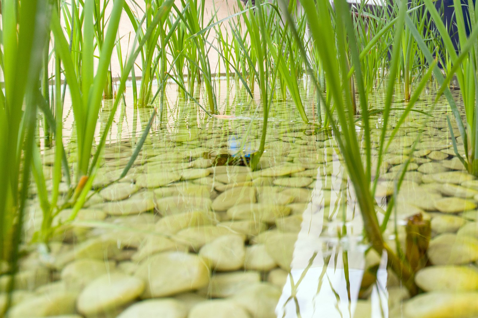 VSI.ASAI - GV Excursion 08.05.2015 | expo2015.org 