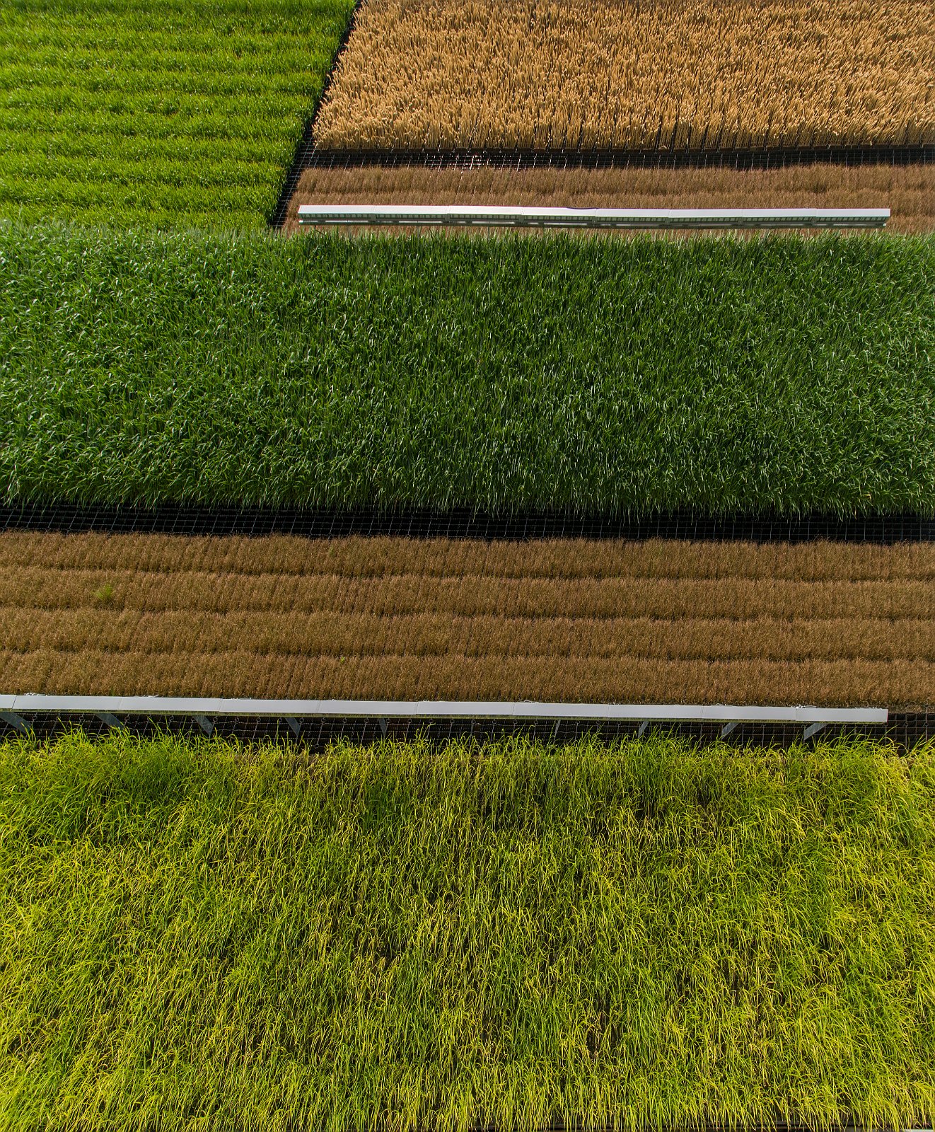 VSI.ASAI - GV Excursion 08.05.2015 | expo2015.org 