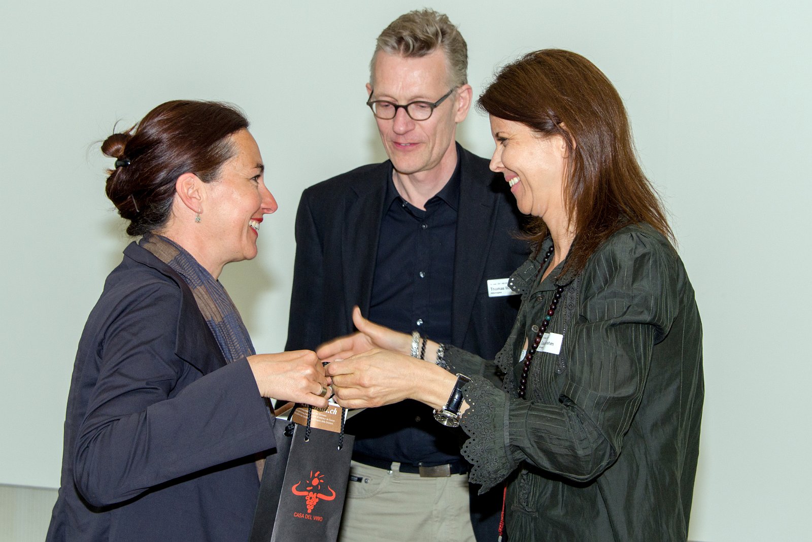 VSI.ASAI - Generalversammlung 09.05.2015 | Spazio Officina Chiasso 