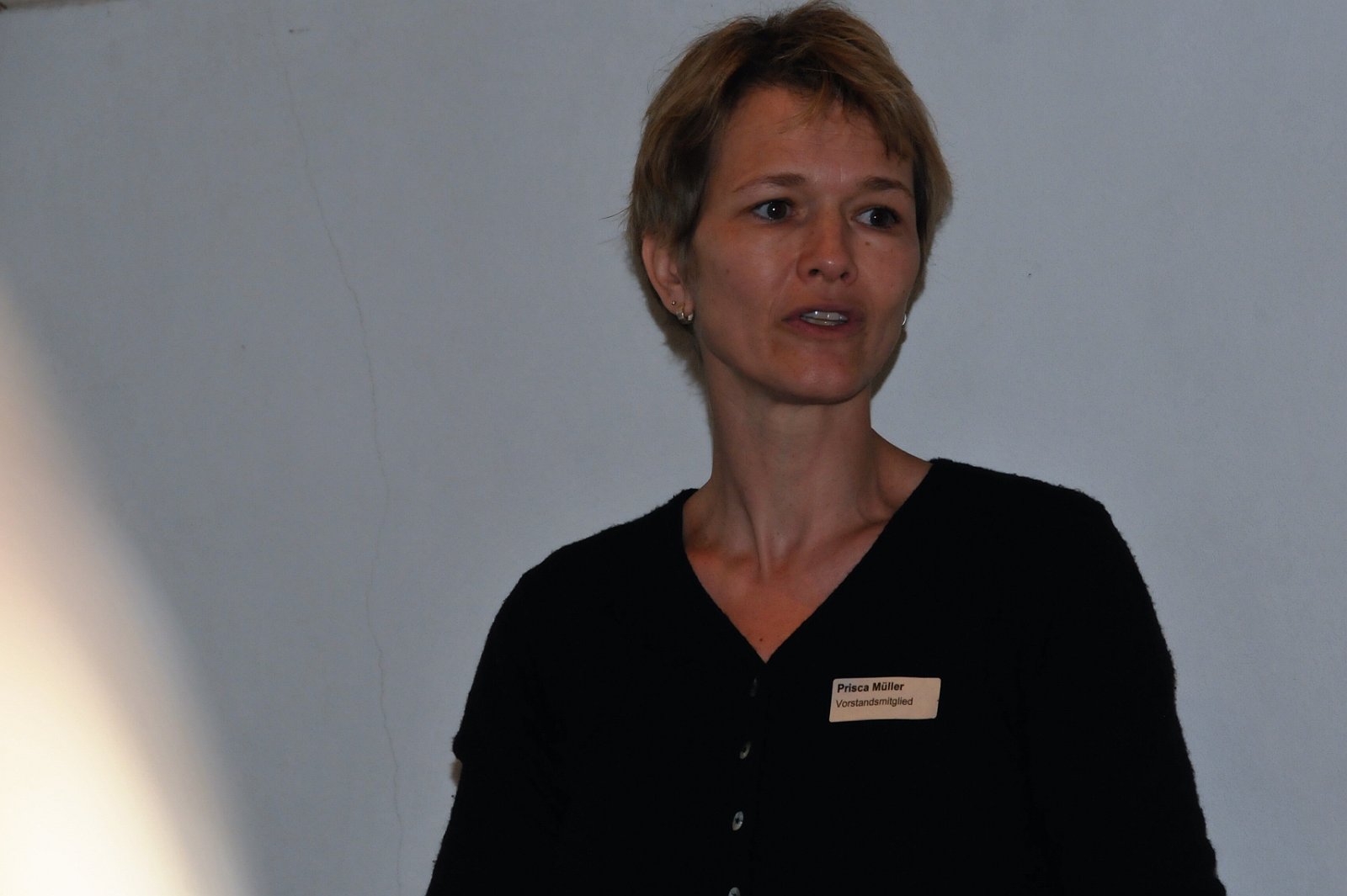 VSI.ASAI. - 67. Generalversammlung in Fribourg VSI:ASAI Generalversammlung im Gutenberg Museum.