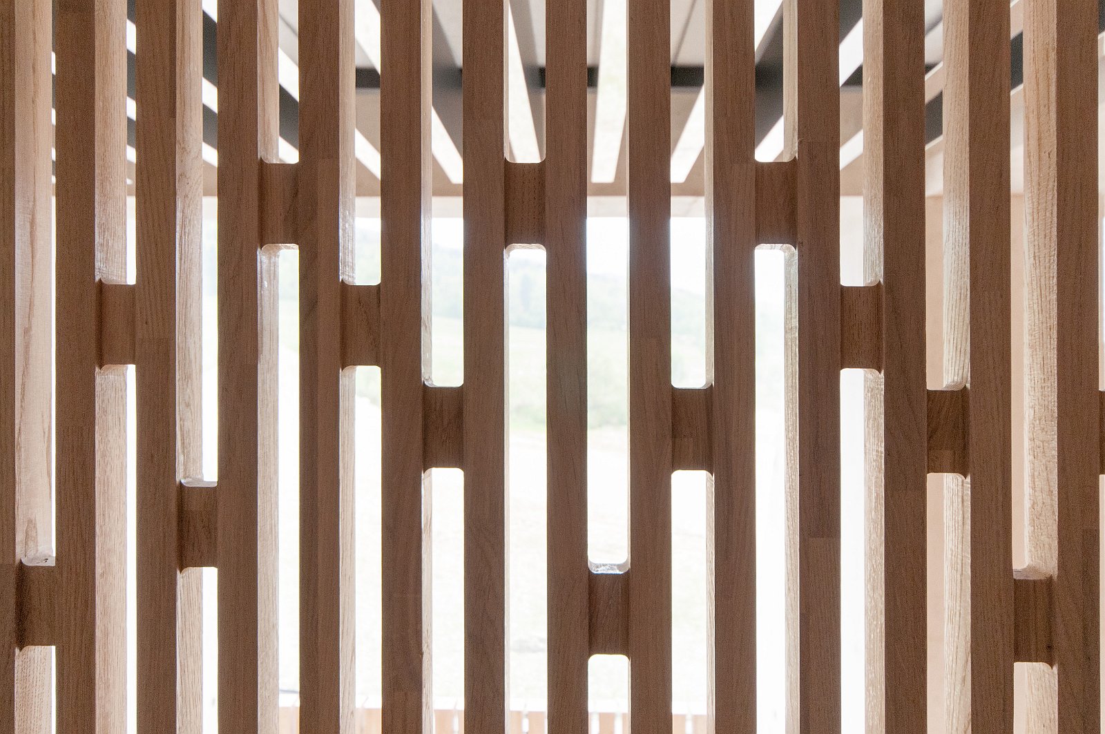 VSI.ASAI. GV Rahmenprogramm 9. Mai 2014 | Maison d'écriture | Montricher | fondation-janmichalski.com 