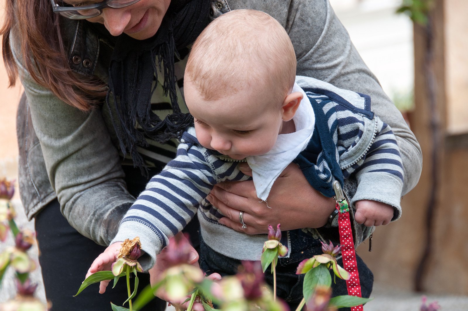 VSI.ASAI GV 28./29. Juni 2013 Besichtigung der Fondazione Garbald in Castasegna