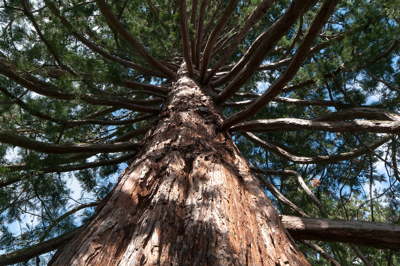 VSI.ASAI GV 28./29. Juni 2013 Besichtigung des Dorfes Soglio mit Apéro im Palazzo Salis