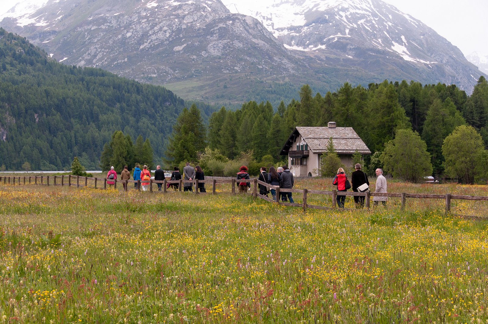 VSI.ASAI GV 28./29. Juni 2013 Sils Maria
