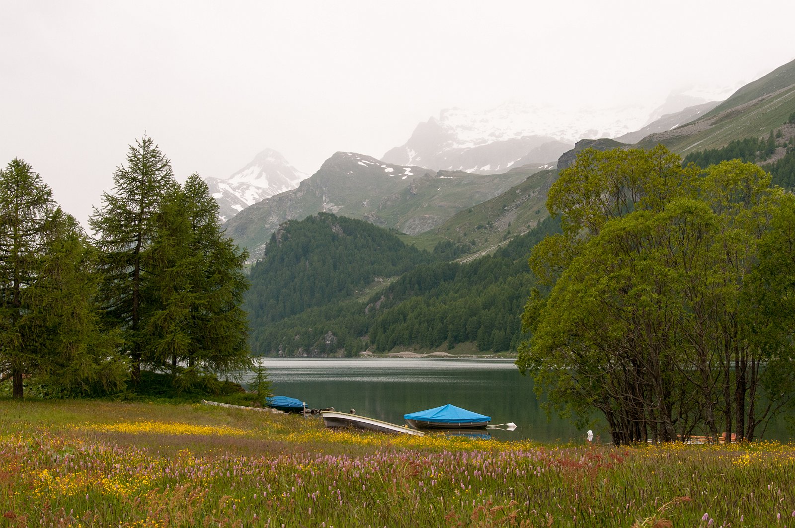 VSI.ASAI GV 28./29. Juni 2013 Sils Maria