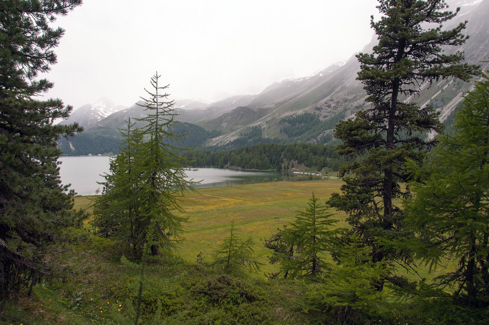 VSI.ASAI GV 28./29. Juni 2013 Sils Maria