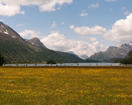 VSI.ASAI GV 28./29. Juni 2013 Anreise mit dem Zug von Chur nach St. Moritz