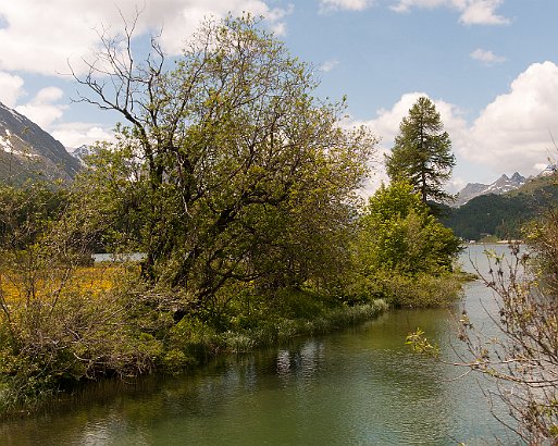 VSI.ASAI GV 28./29. Juni 2013 Anreise mit dem Zug von Chur nach St. Moritz