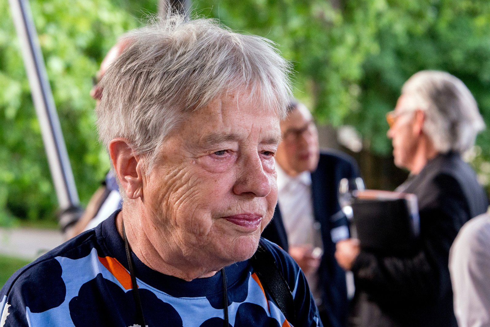 VSI.ASAI | Generalversammlung10. Juni 2017 