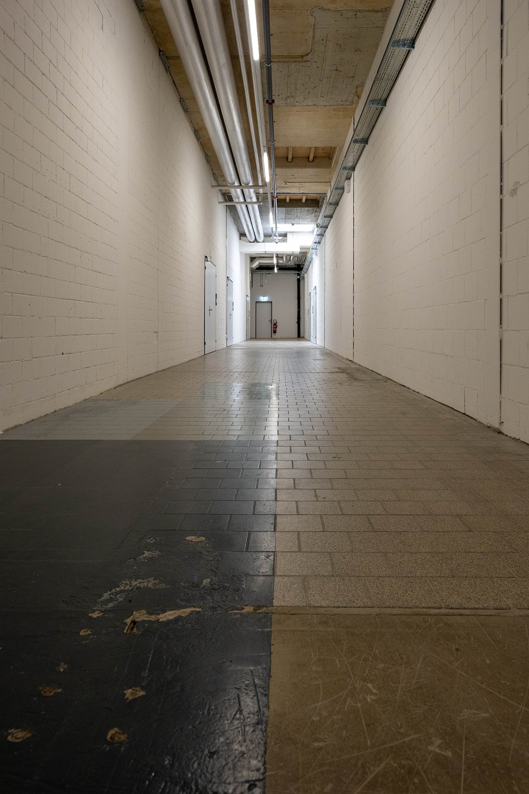 VSI.ASAI | Regionalversammlung 31. März 2023 in Basel 