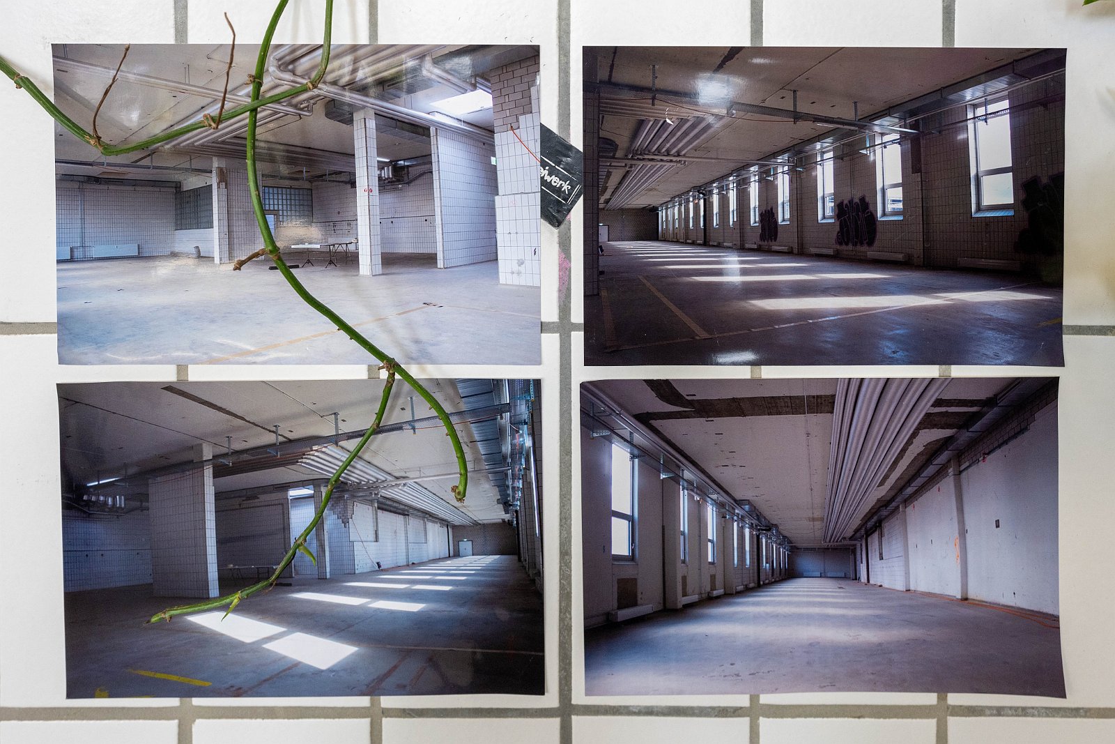 VSI.ASAI | Regionalversammlung 31. März 2023 in Basel 