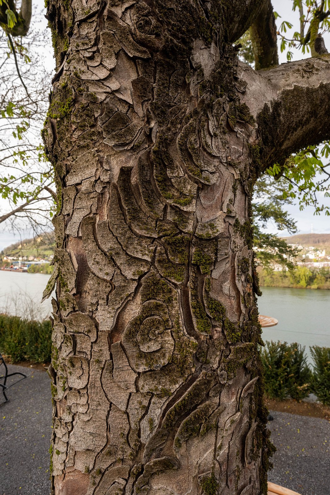 VSI.ASAI | Regionalversammlung 31. März 2023 in Basel 