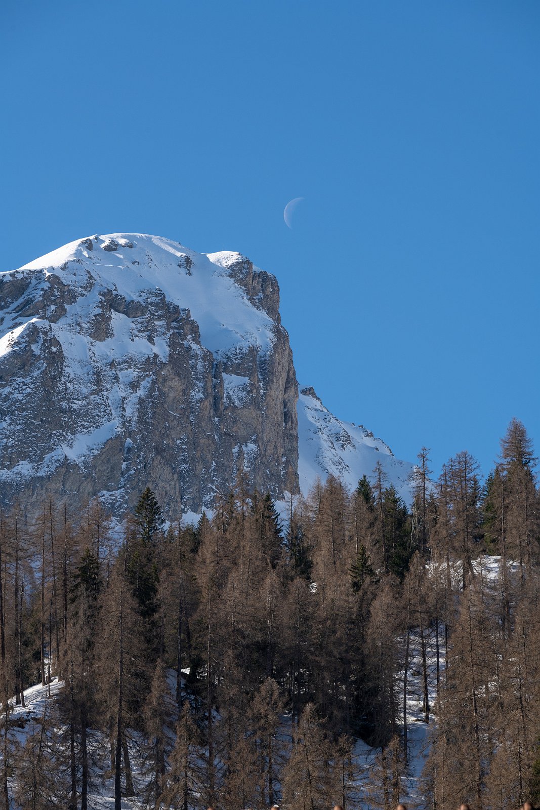 VSI.ASAI | Regionalversammlung 2019 in Chur 