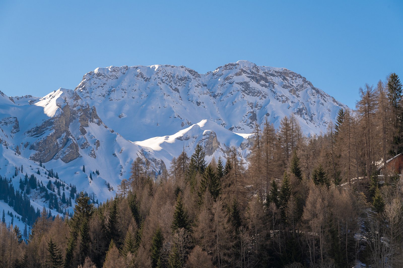 VSI.ASAI | Regionalversammlung 2019 in Chur 