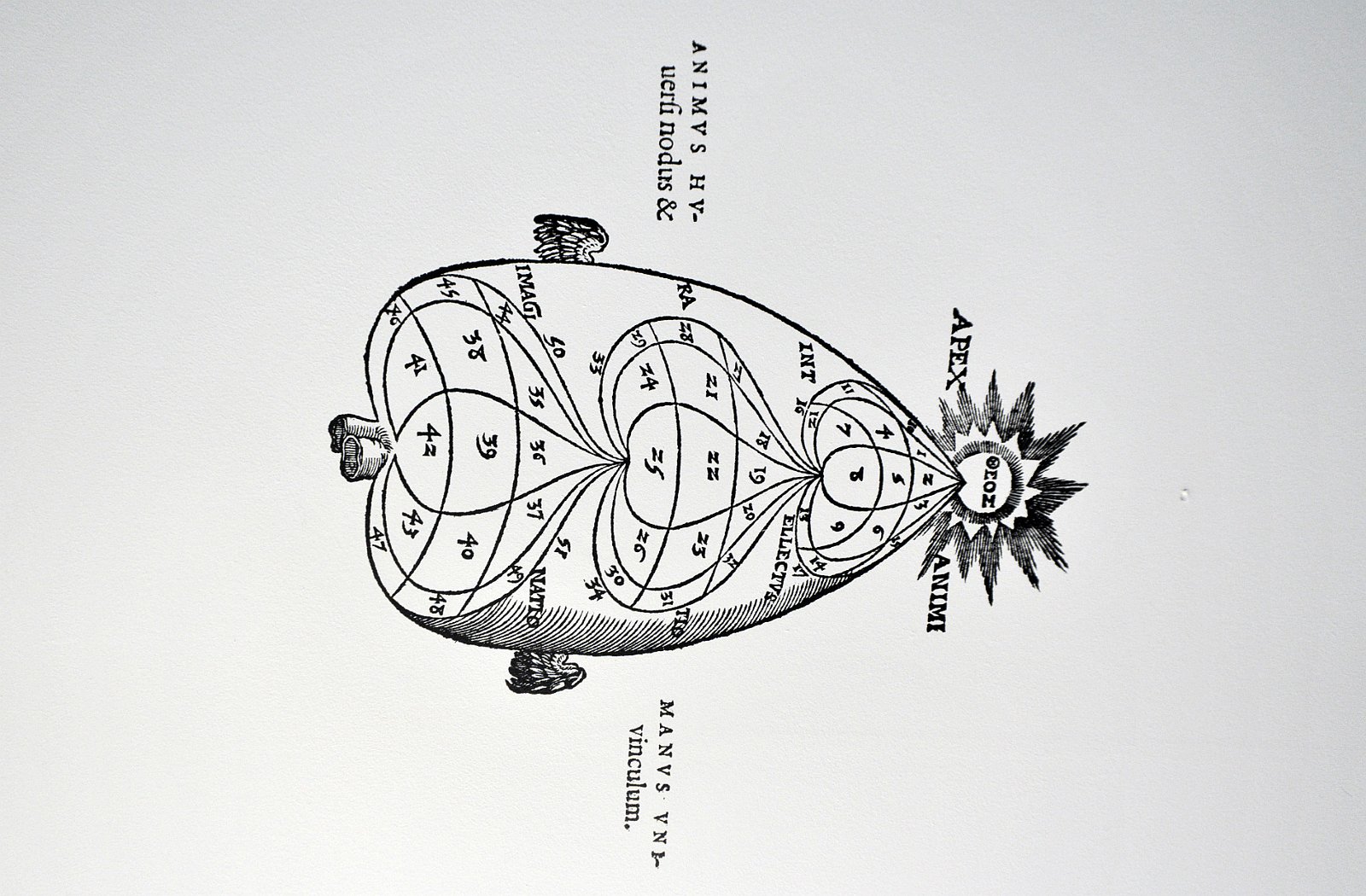 Stiftung Bibliothek Werner Oechslin, Einsiedeln SZ www.bibliothek-oechslin.ch, Architektur: Mario Botta