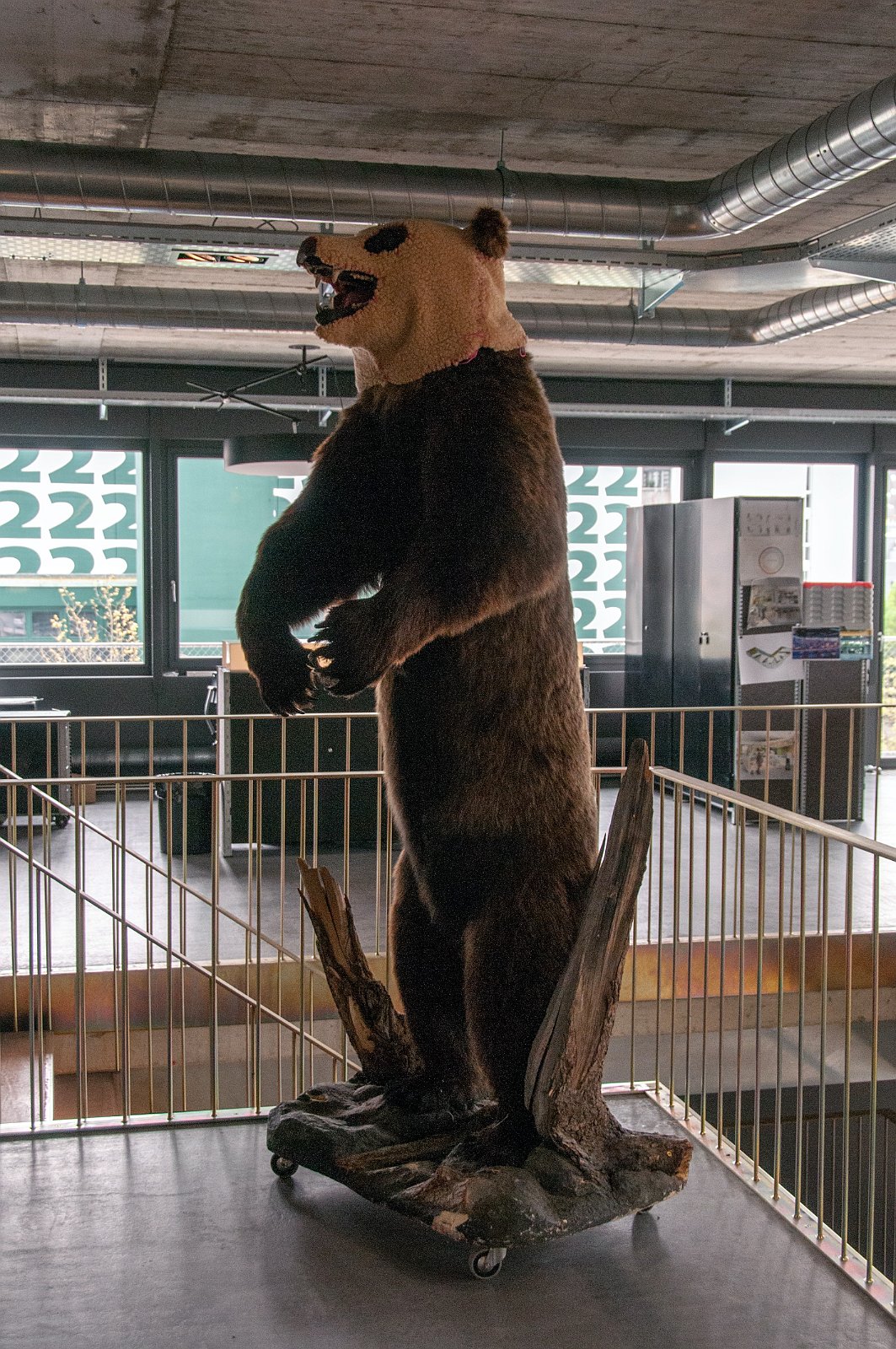 VSI.ASAI. Regionale Jahresversammlung 2013 