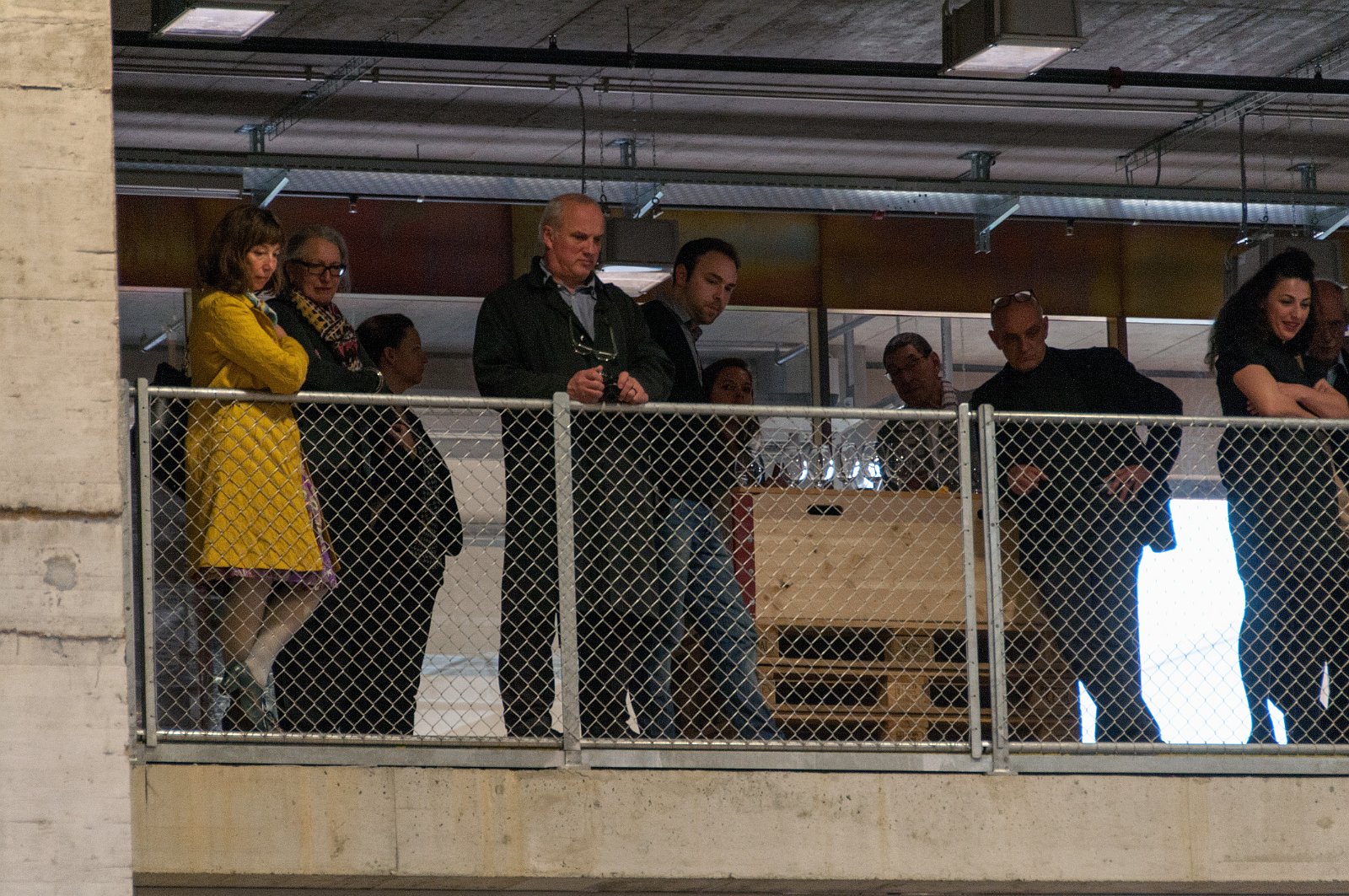 VSI.ASAI. Regionale Jahresversammlung 2013 