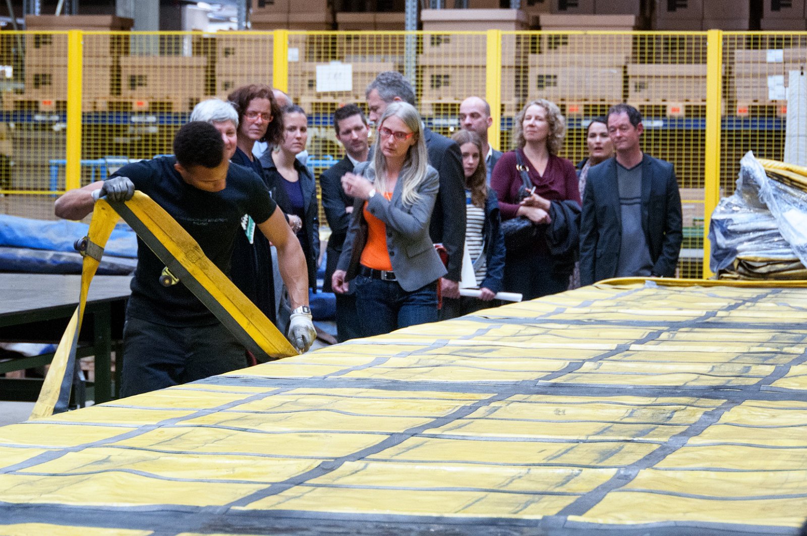 VSI.ASAI. Regionale Jahresversammlung 2013 