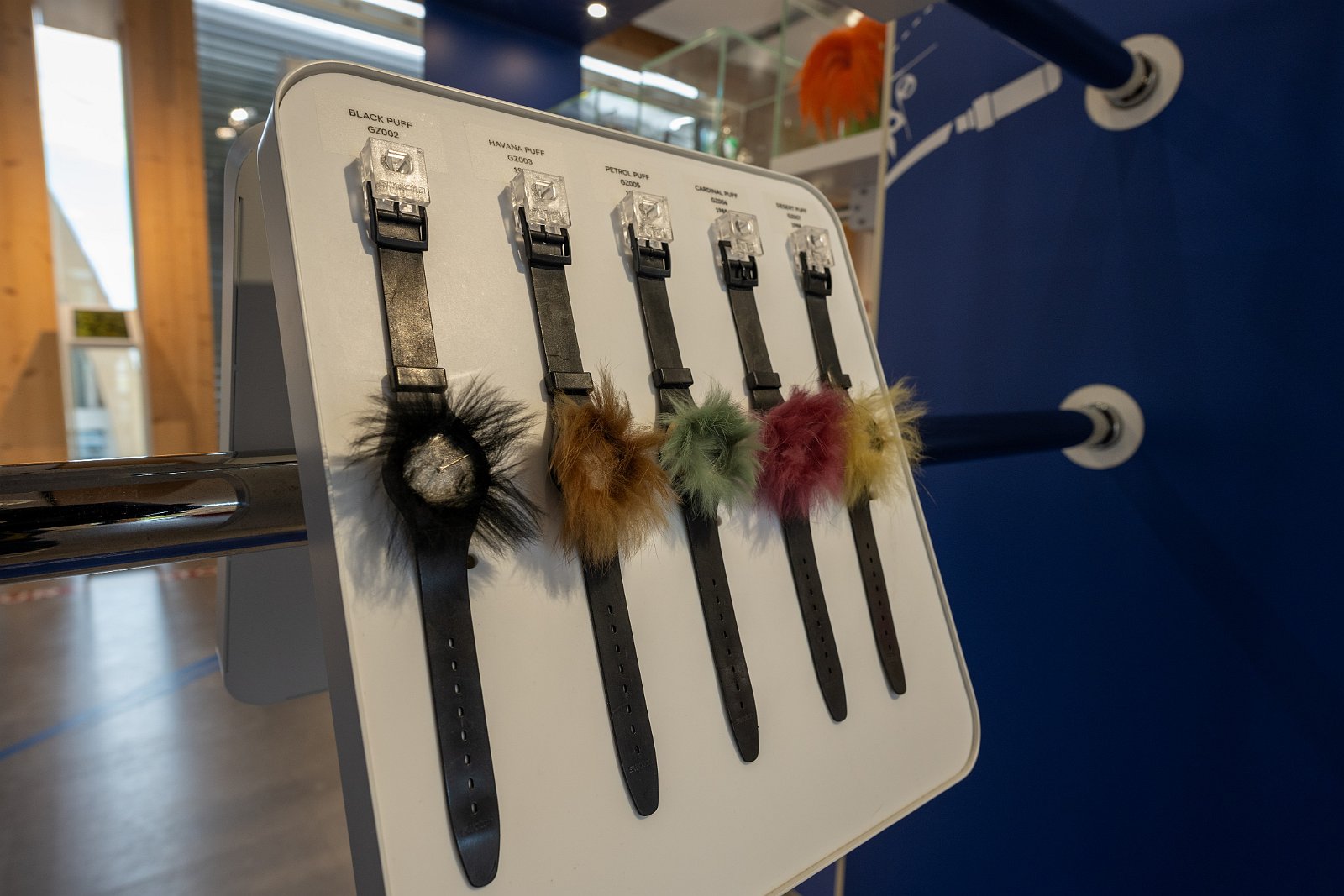 VSI.ASAI Regionalversammlung Deutschschweiz in Biel, Bienne Swatch, Omega Museum Biel