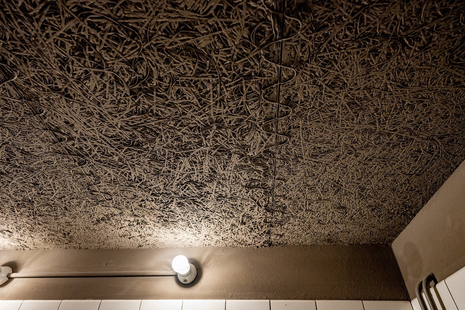 VSI.ASAI Regionalversammlung Deutschschweiz in Biel, Bienne Das Farel Haus von Architekt Max Schlup in Biel