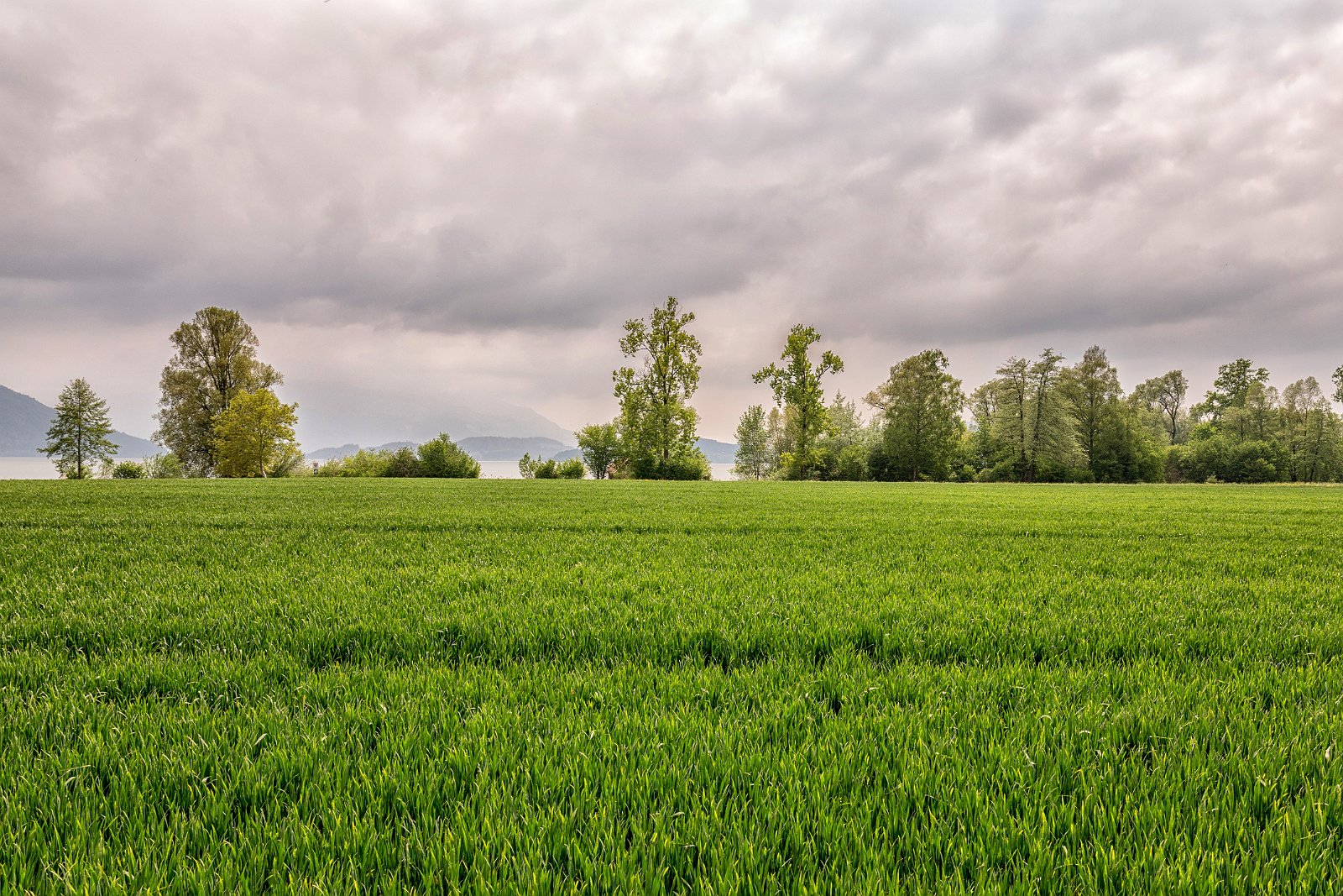VSI.ASAI - Regionalversammlung Deutschweiz 2018 