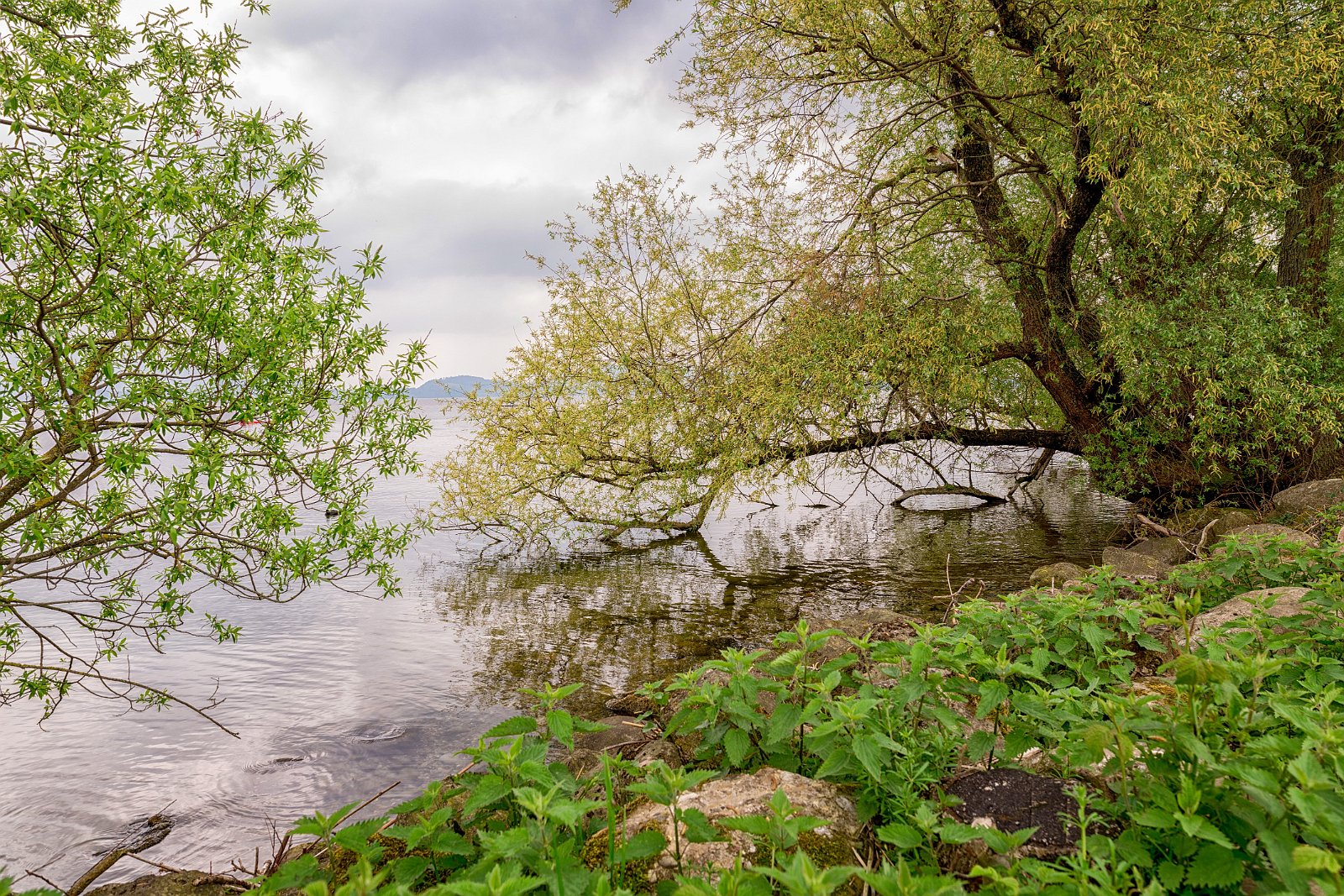 VSI.ASAI - Regionalversammlung Deutschweiz 2018 