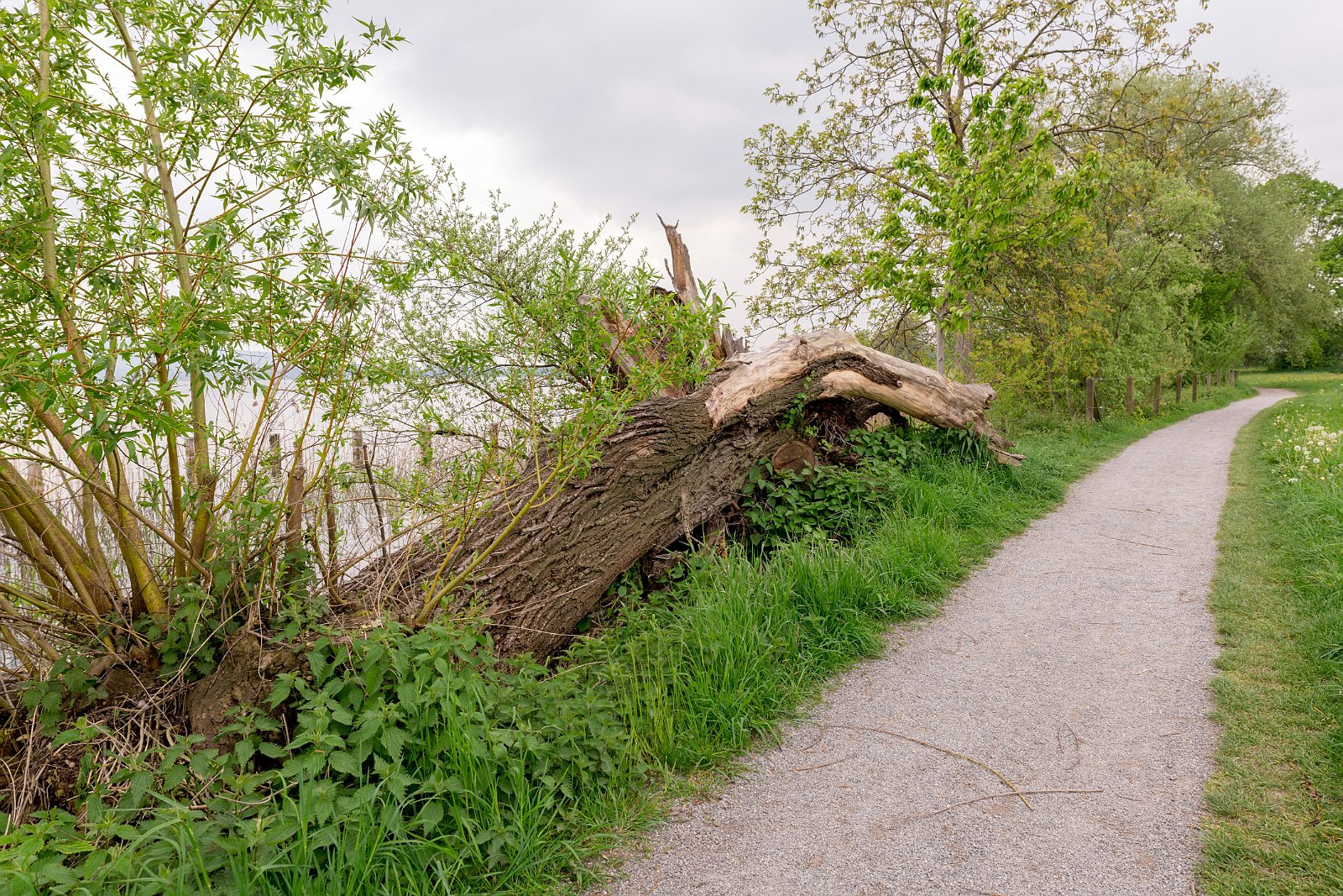 VSI.ASAI - Regionalversammlung Deutschweiz 2018 