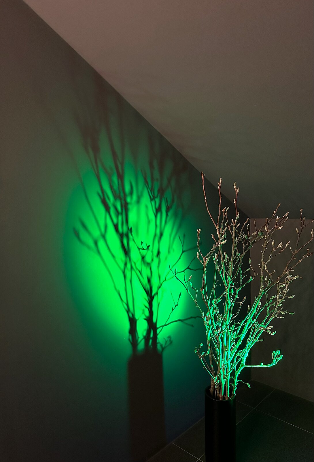 VSI.ASAI Occhio München Firmenbesichtigung auf Einladung Occhio München