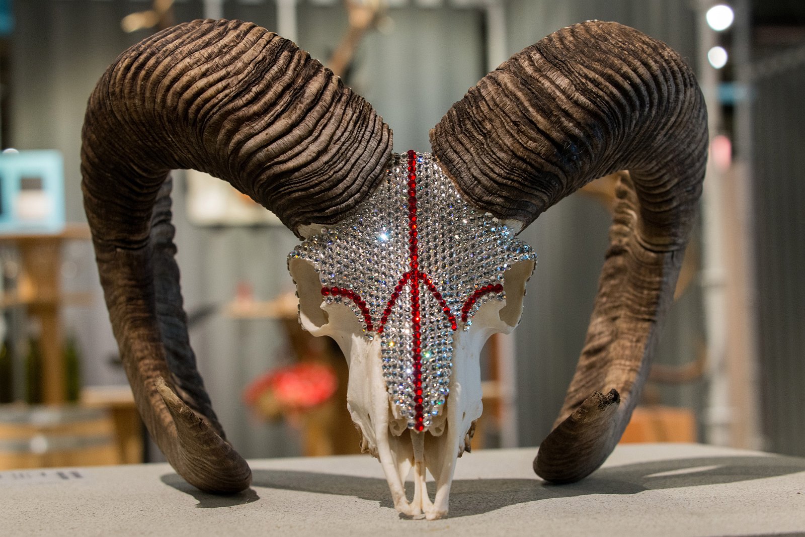 VSI.ASAI | World Interior Day 2016 