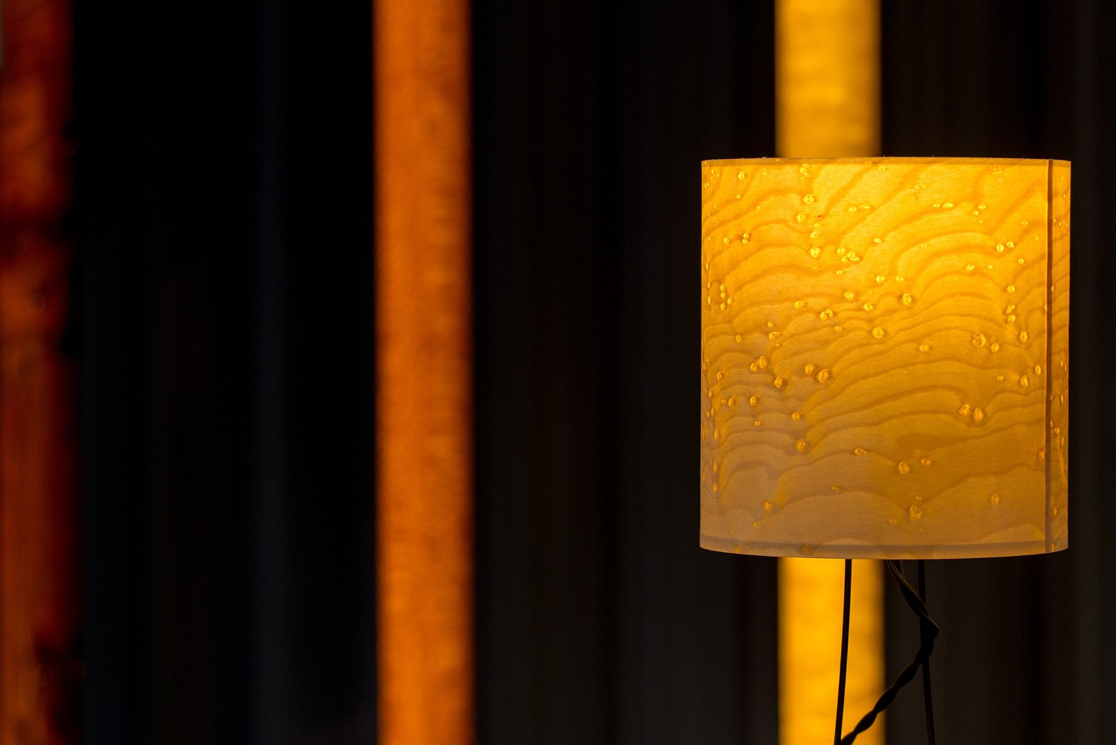 VSI.ASAI | World Interior Day 2016 