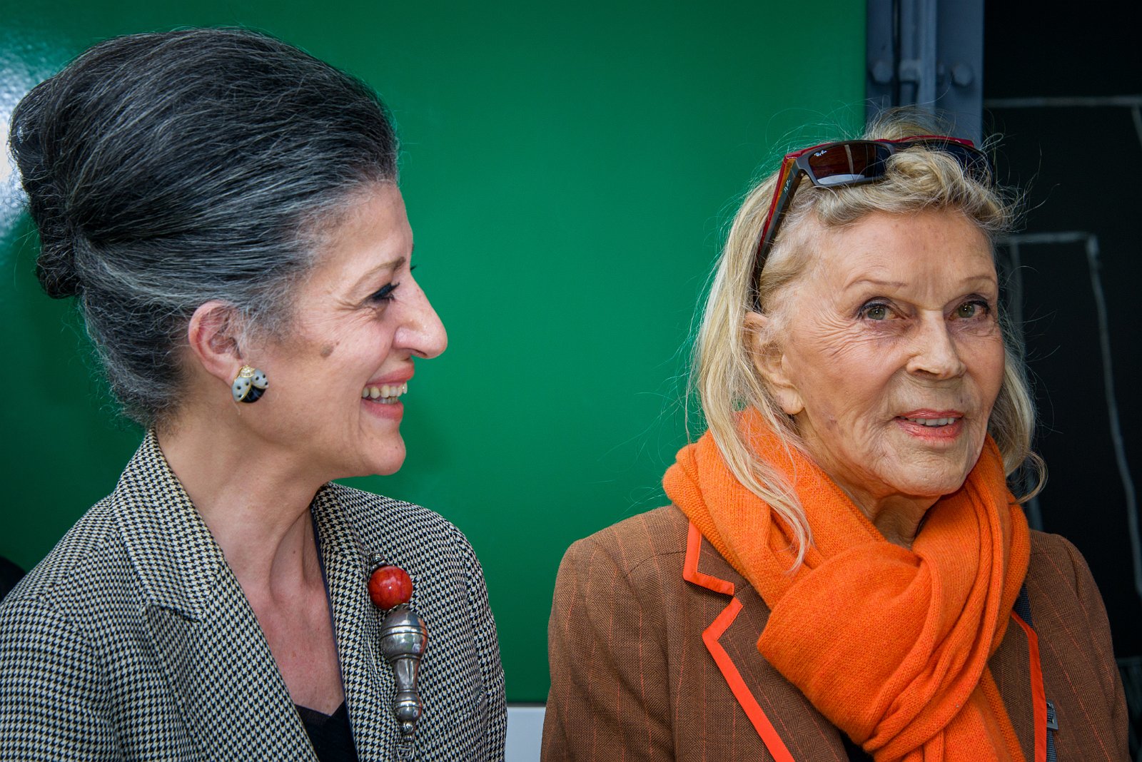 VSI.ASAI. | Ehrung von Heidi Weber für Ihr Lebenswerk | 30. Mai 2015 